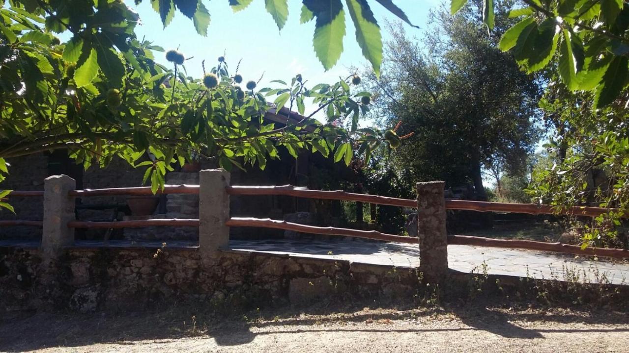 La Simona Casa Rural Perales del Puerto Exterior foto