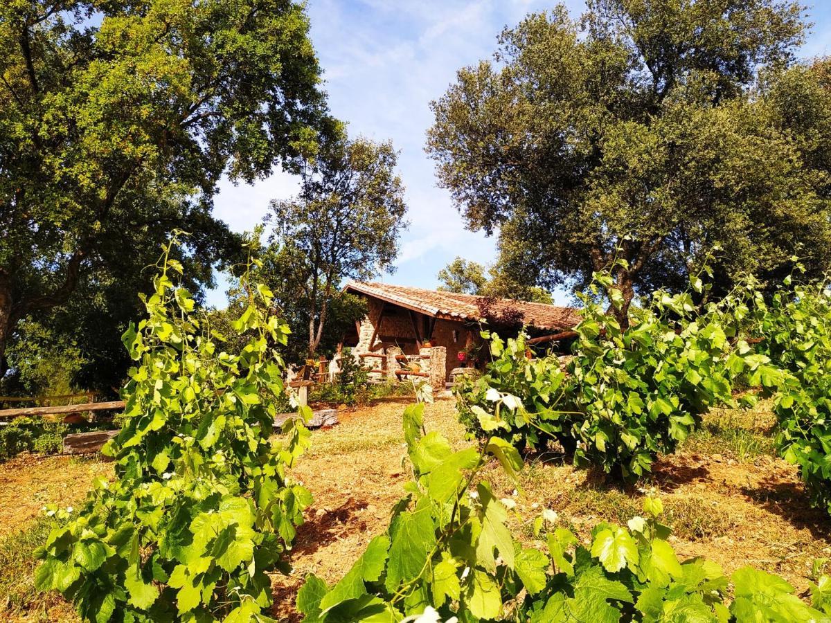 La Simona Casa Rural Perales del Puerto Exterior foto